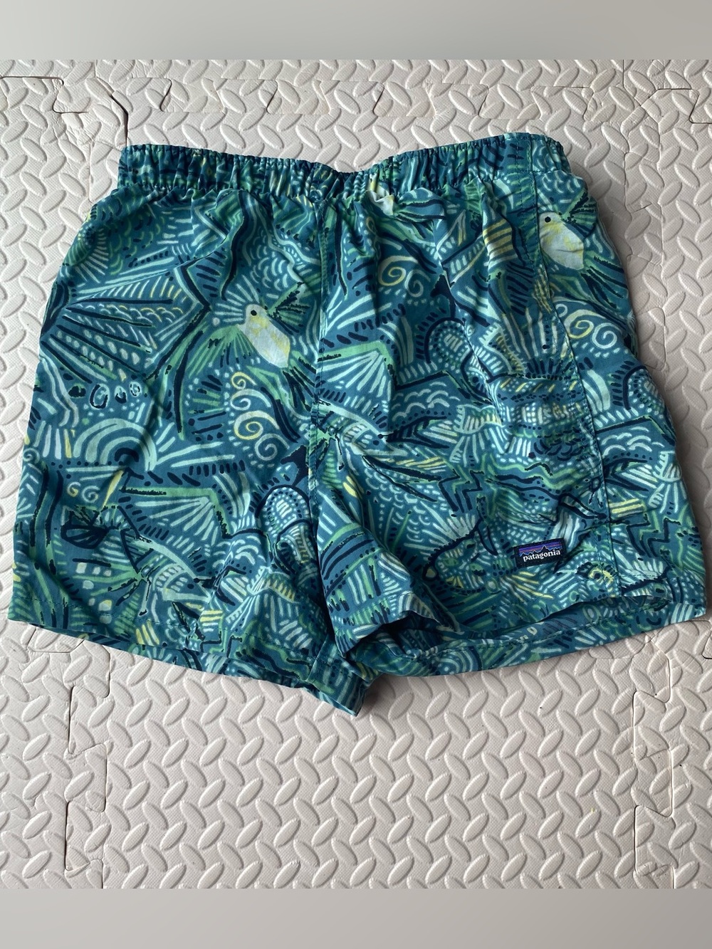 Patagonia shorts 5t